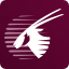 Airline Logo